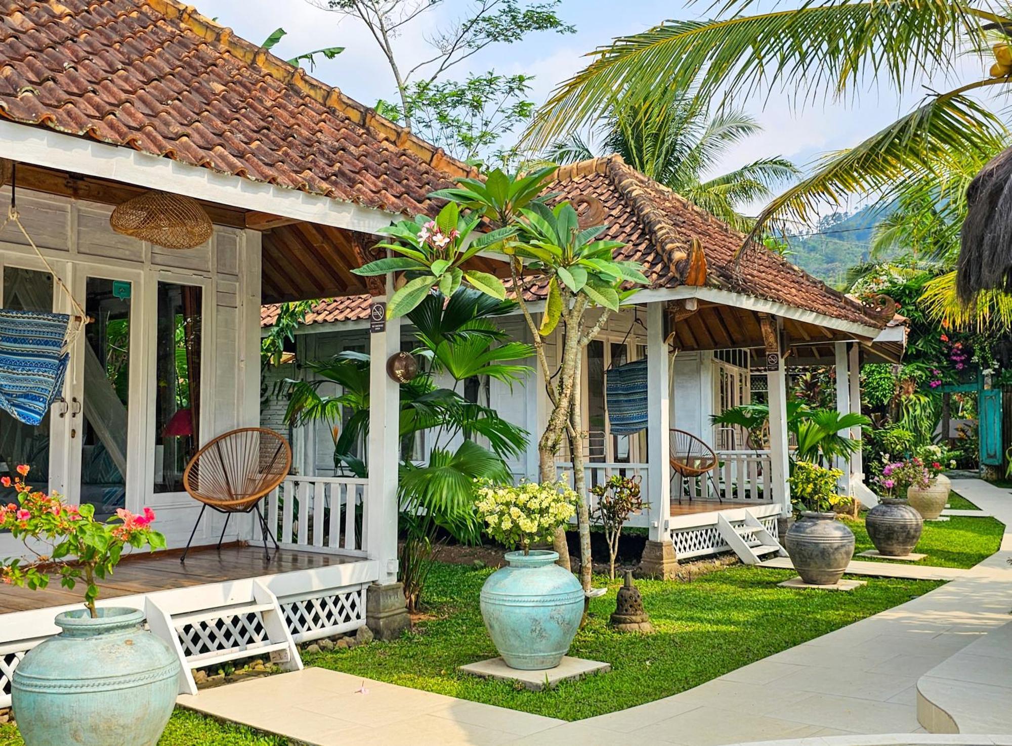 Janur Wisma tamu Magelang