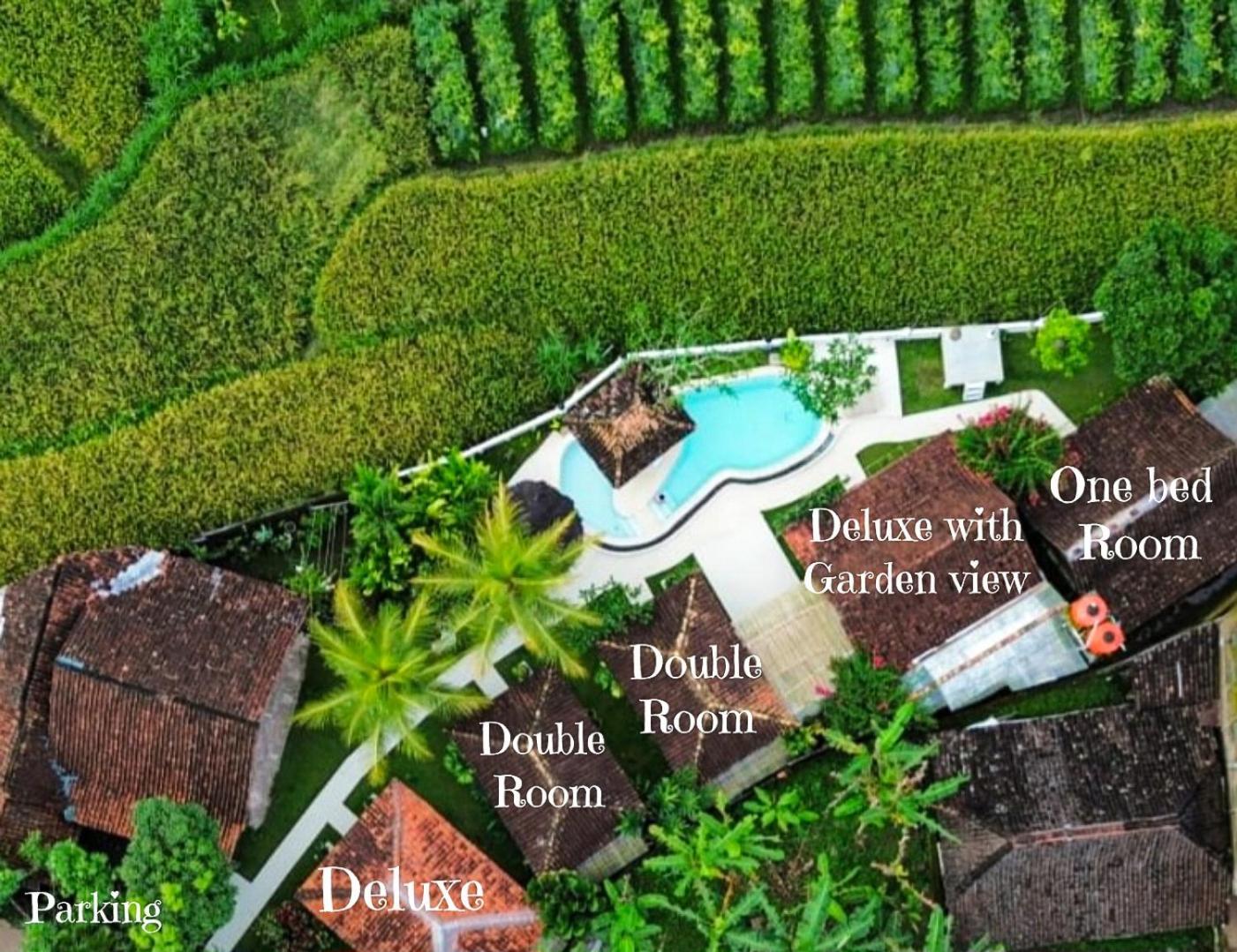 Janur Wisma tamu